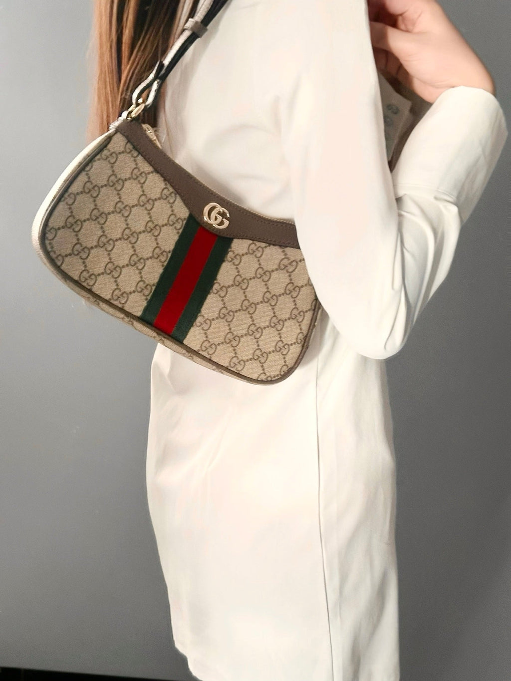 Gucci Ophidia Small Shoulder Bag – 841341