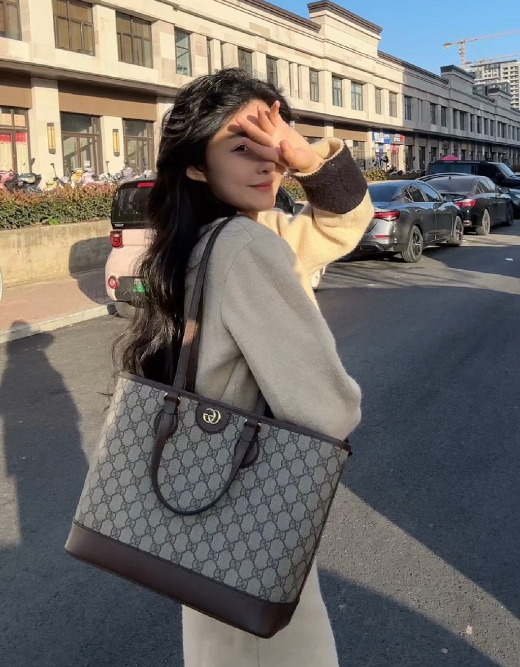 Gucci GG Ophidia Small Tote Bag – 765043